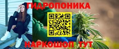 прущие грибы Кандалакша