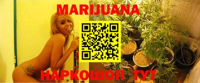 прущие грибы Кандалакша