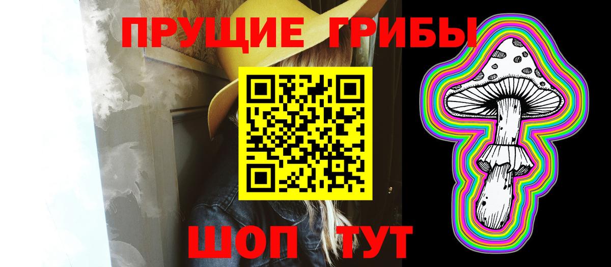 Галлюциногенные грибы Psilocybe Кызыл