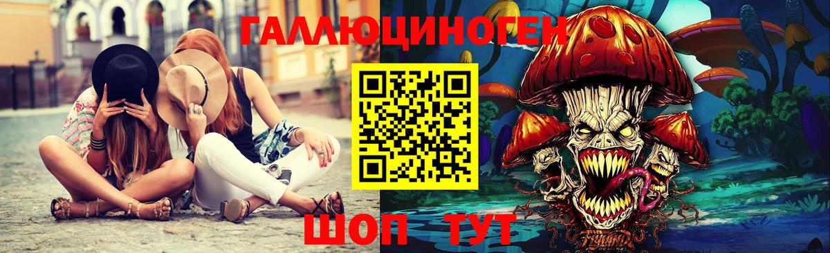 Кызыл  Псилоцибиновые грибы Psilocybine cubensis  Вход с VPN 